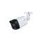 Caméra de surveillance Analogique