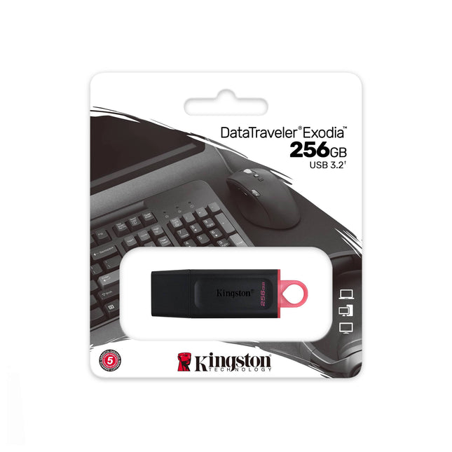 CLÉ USB KINGSTON 256GB USB 3.2 (DTX-256GB)