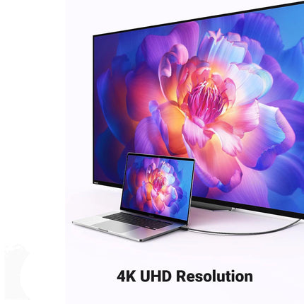 Câble Display Male vers HDMI Male Ugreen 2 mètres (10202)