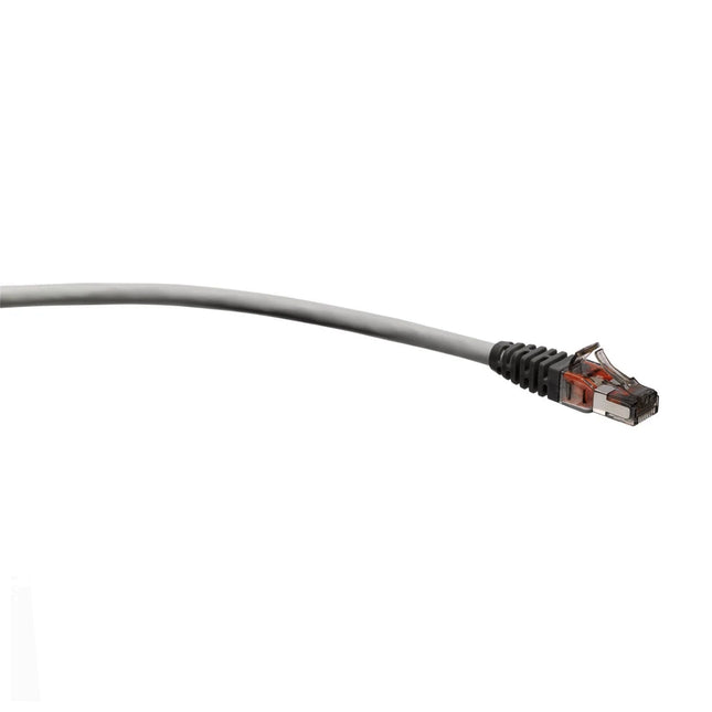 Cordon réseau RJ45 CAT6A 5m ALQIMMA INFO FTP S/FTP, câble Ethernet pour connexion Internet, noir avec connecteurs RJ45.
