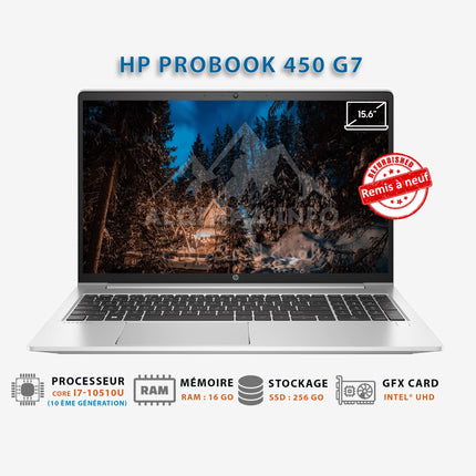 Ordinateur Portable HP Probook 450 G7 I Core i7-10510U I 16Go I 256Go SSD I 15″ [Remis à Neuf]