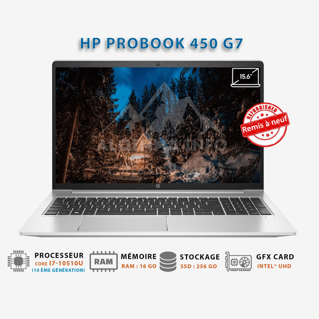 Ordinateur Portable HP Probook 450 G7 I Core i7-10510U I 16Go I 256Go SSD I 15″ [Remis à Neuf]
