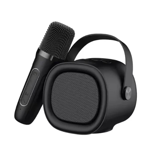 Haut-Parleurs Havit portables d’extérieur avec microphones (SK819BT-BK)
