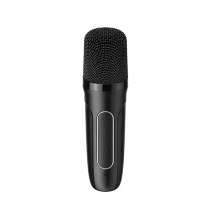 Haut-Parleurs Havit portables d’extérieur avec microphones (SK819BT-BK)