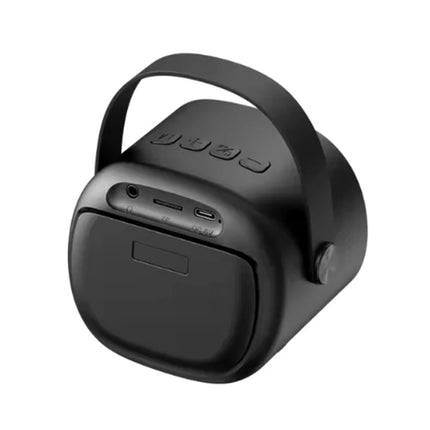 Haut-Parleurs Havit portables d’extérieur avec microphones (SK819BT-BK)