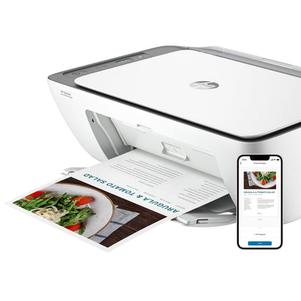 Imprimante HP DeskJet 2876 Multifonction Ink Advantage (6W7E6C)