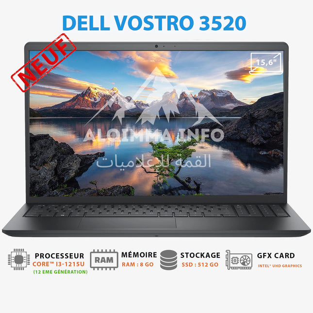 Ordinateur portable DELL VOSTRO 3520 i3-1215U 8GB 512GB SSD 15.6 (VOSTRO3520-I3-8-UBU)