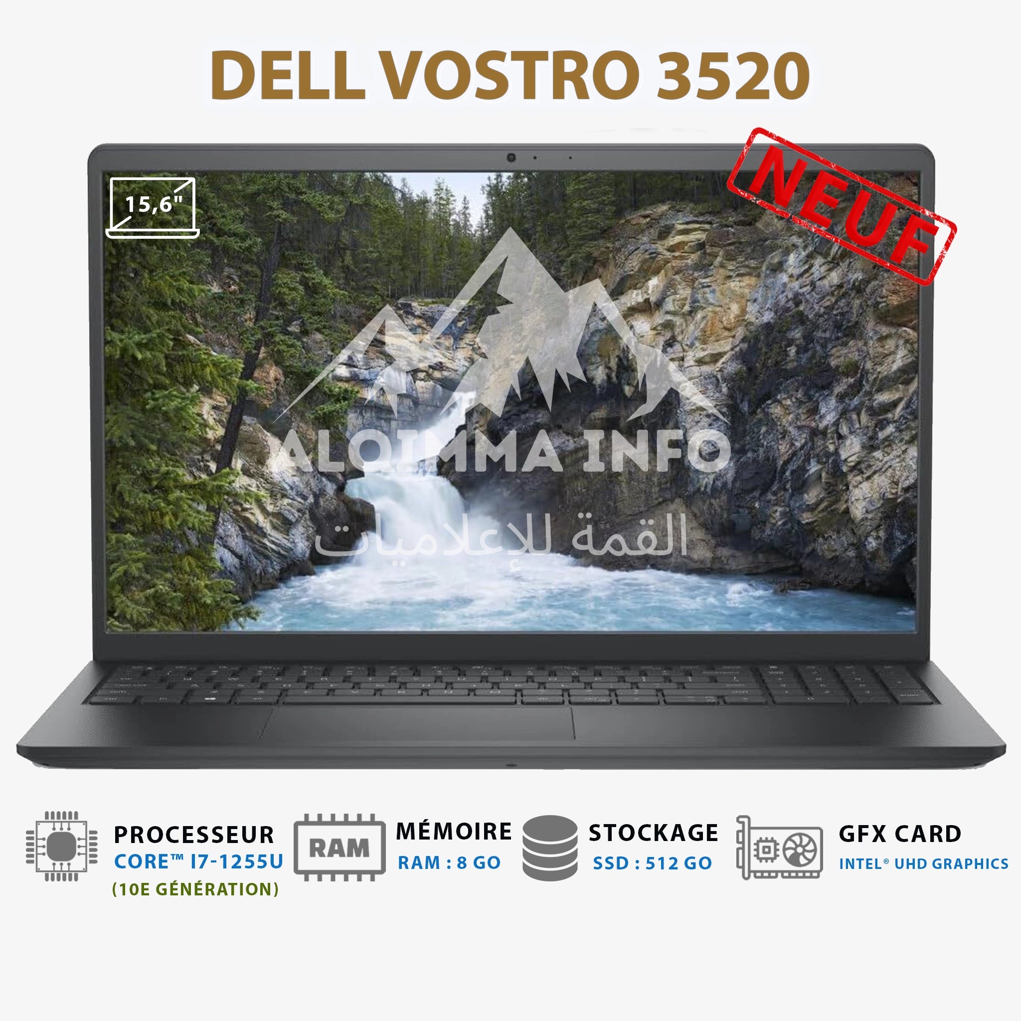 Ordinateur Portable Dell Vostro 3520 - I7-1255U, 15,6", SSD, Windows 11 Pro